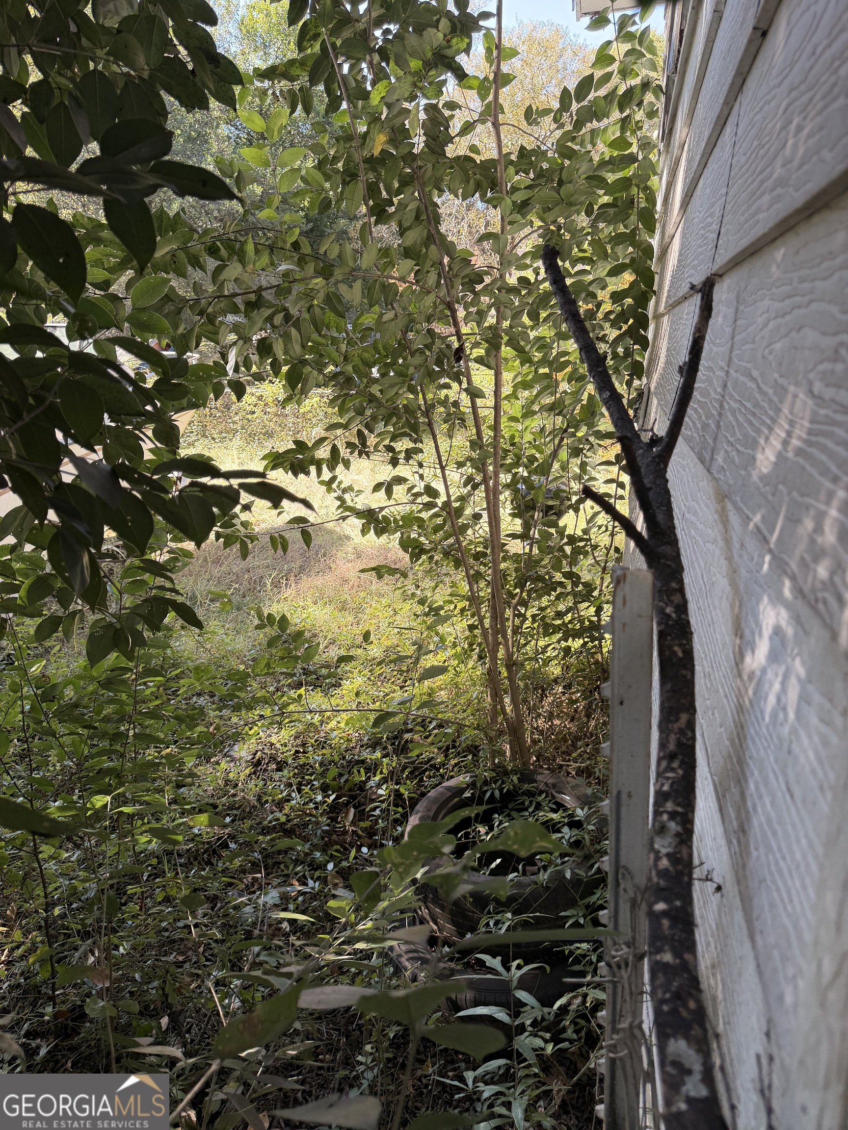 856 Grady Street Macon, GA 31206 - Photo 20 of 23 a view of a tree