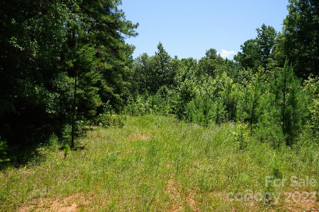 0 Catawba River Road Catawba, SC 29704 - Photo 11 of 23