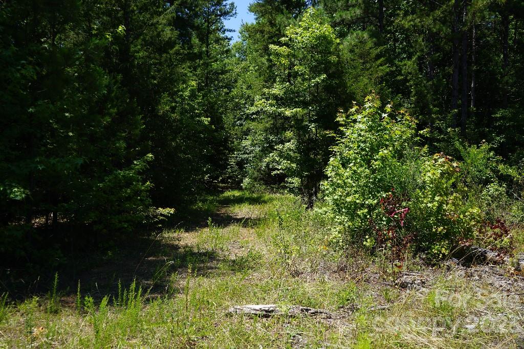 0 Catawba River Road Catawba, SC 29704 - Photo 14 of 23
