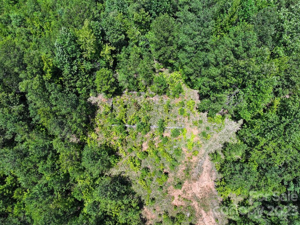 0 Catawba River Road Catawba, SC 29704 - Photo 15 of 23