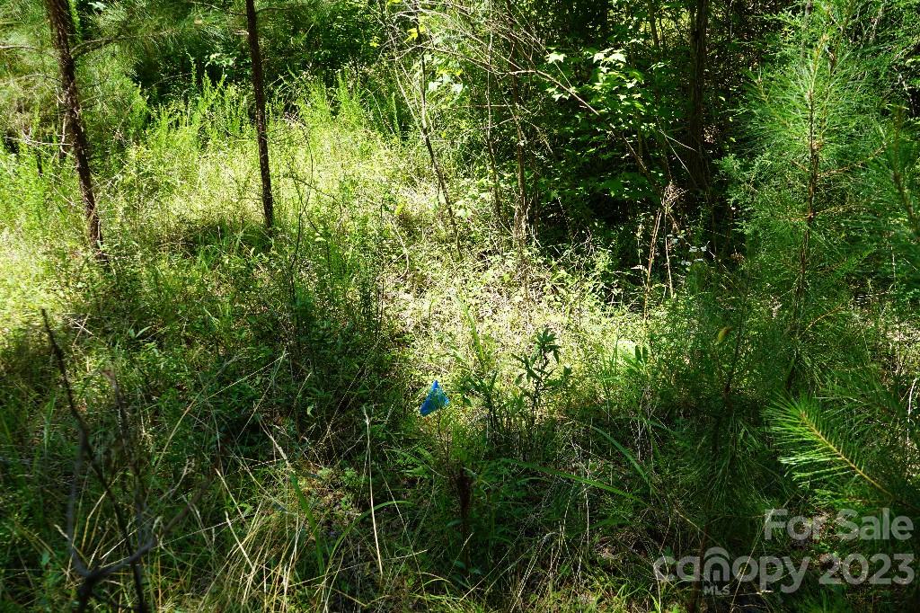 0 Catawba River Road Catawba, SC 29704 - Photo 16 of 23