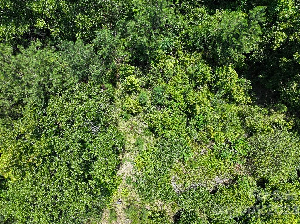 0 Catawba River Road Catawba, SC 29704 - Photo 17 of 23