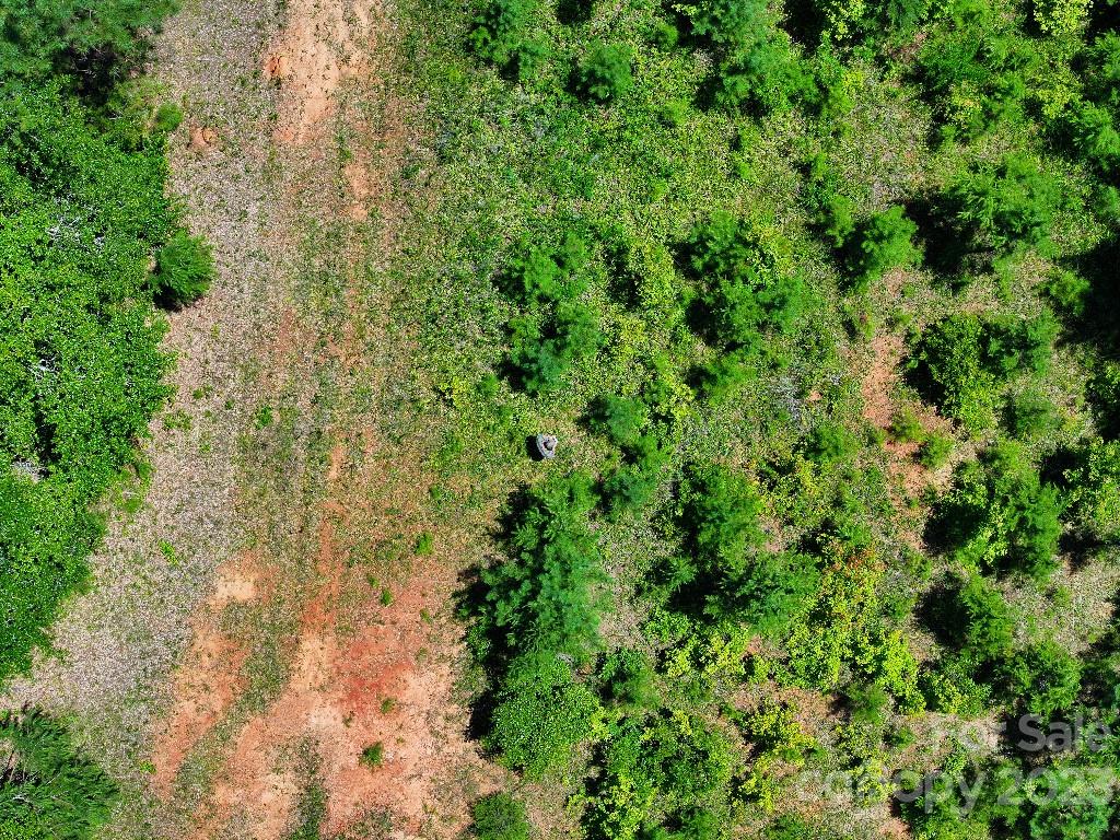 0 Catawba River Road Catawba, SC 29704 - Photo 19 of 23