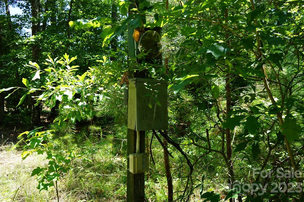 0 Catawba River Road Catawba, SC 29704 - Photo 20 of 23