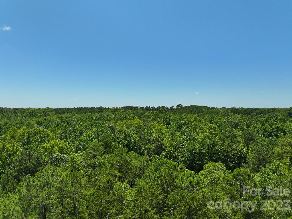 0 Catawba River Road Catawba, SC 29704 - Photo 21 of 23