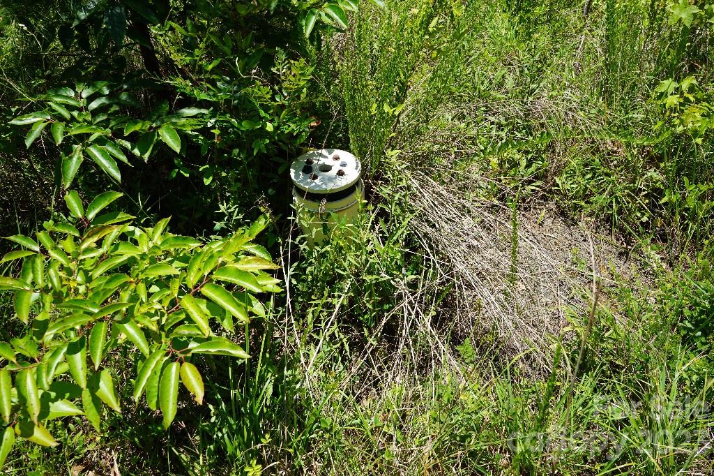 0 Catawba River Road Catawba, SC 29704 - Photo 22 of 23