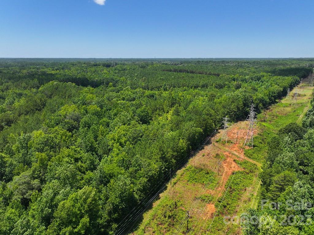 0 Catawba River Road Catawba, SC 29704 - Photo 3 of 23