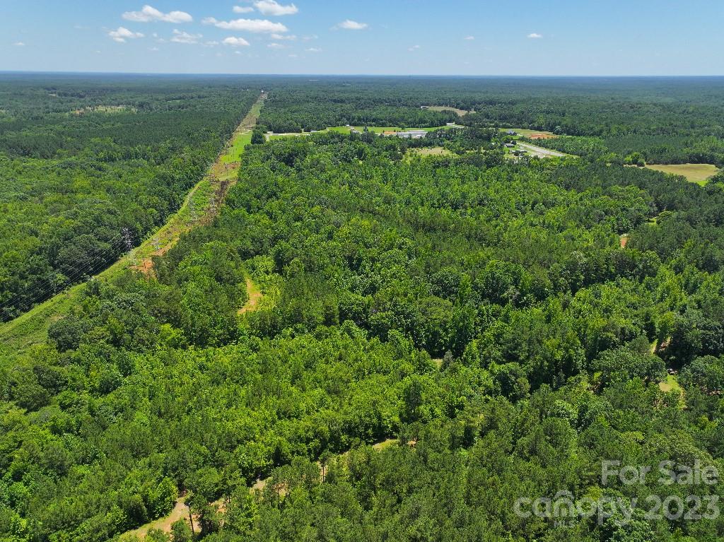 0 Catawba River Road Catawba, SC 29704 - Photo 6 of 23
