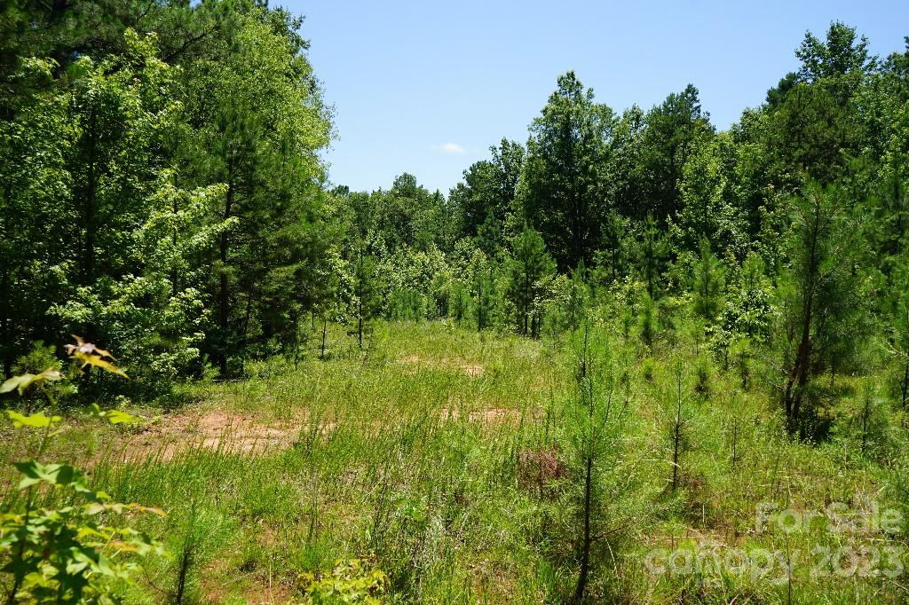 0 Catawba River Road Catawba, SC 29704 - Photo 9 of 23