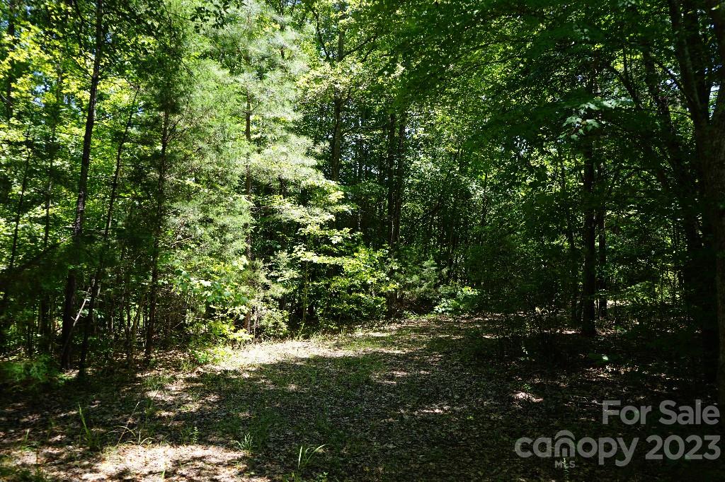 0 Catawba River Road Catawba, SC 29704 - Photo 10 of 23