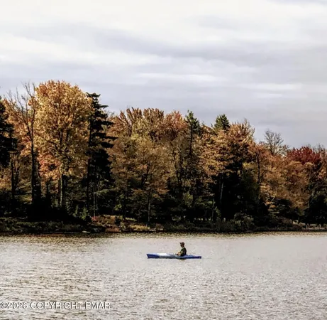 a view of a lake from a yard