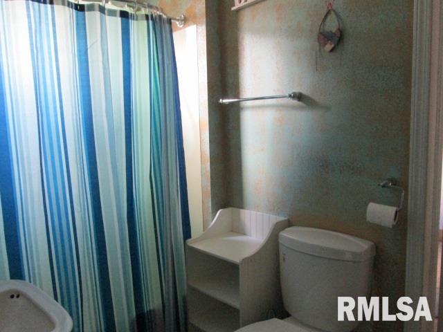 206 North Trivoli Road Trivoli, IL 61569 - Photo 25 of 36