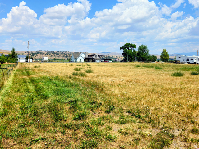 802 East 3200 Road North Preston, ID 83263 - Photo 51 of 59 Expansive lot featuring varied grasses and a clear horizon