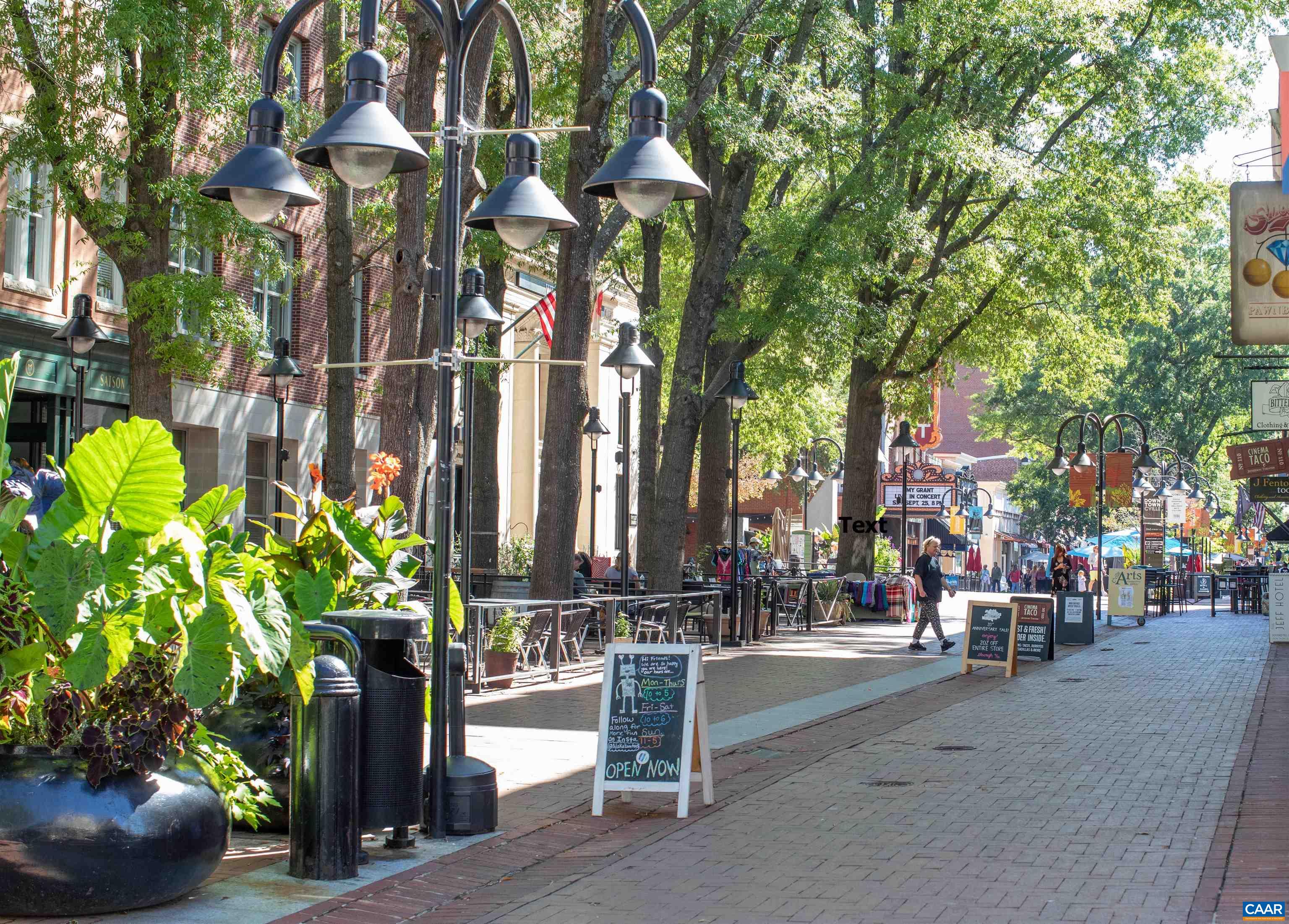 1147 Meriwether Street Charlottesville, VA 22902 - Photo 20 of 25