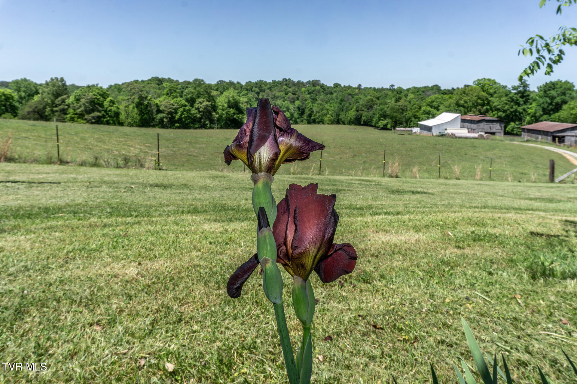 180 South Mill Road Greeneville, TN 37743 - Photo 35 of 65 180SMillG_083