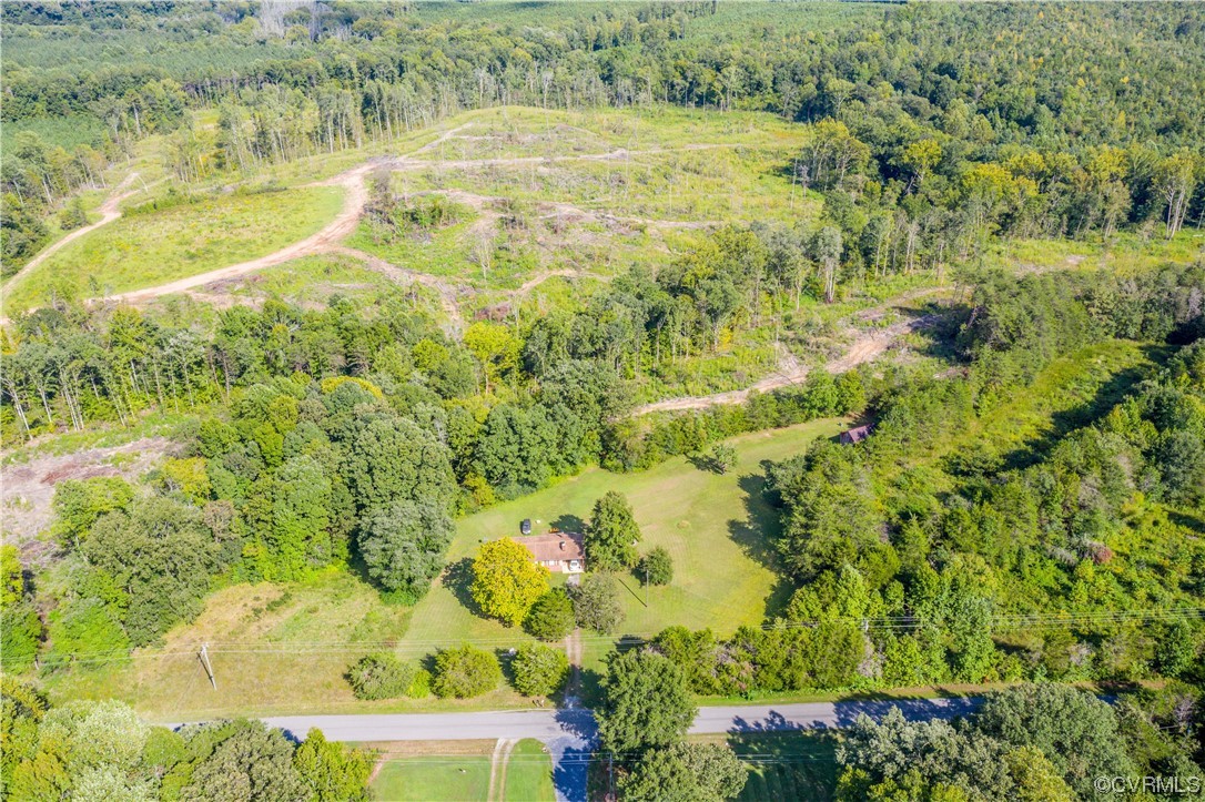 a view of a yard with plants and large trees