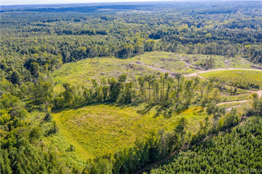 0 Pinegrove Road Cartersville, VA 23027 - Photo 11 of 26 a view of lake view and mountain view