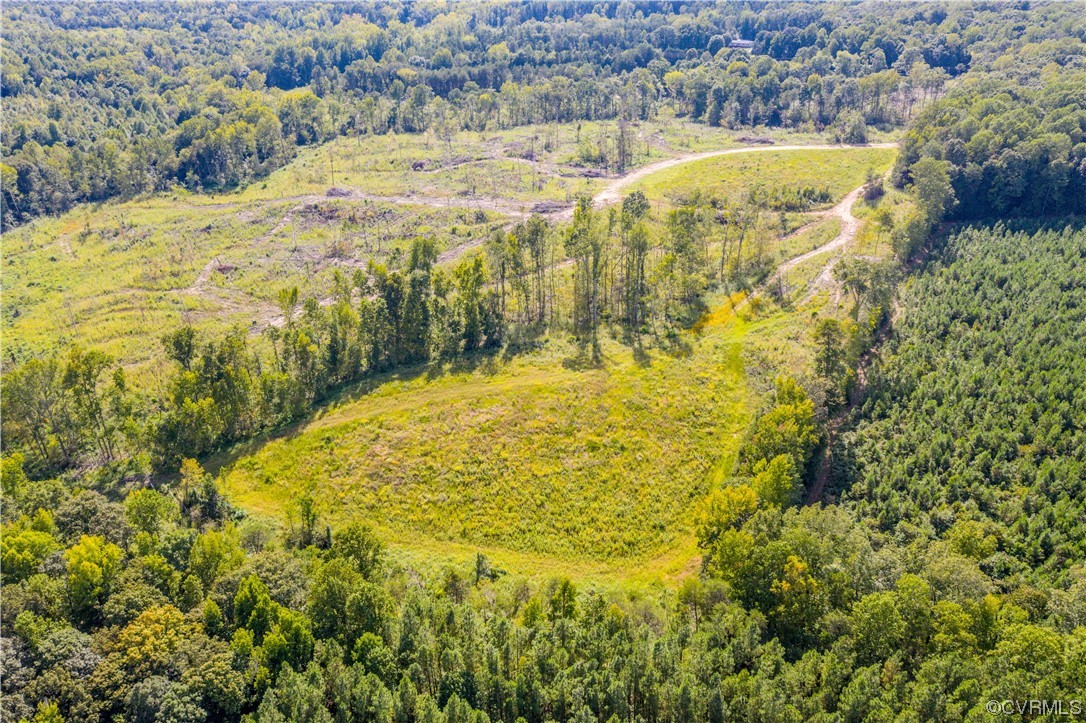 0 Pinegrove Road Cartersville, VA 23027 - Photo 12 of 26