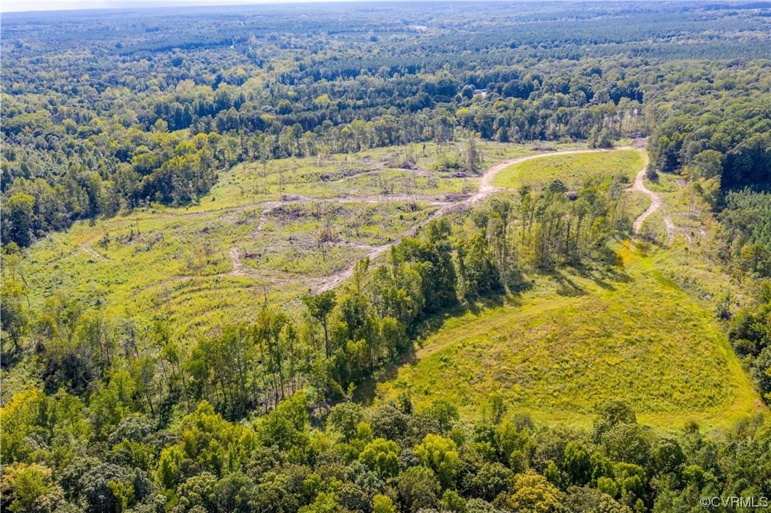 0 Pinegrove Road Cartersville, VA 23027 - Photo 13 of 26 a view of a city