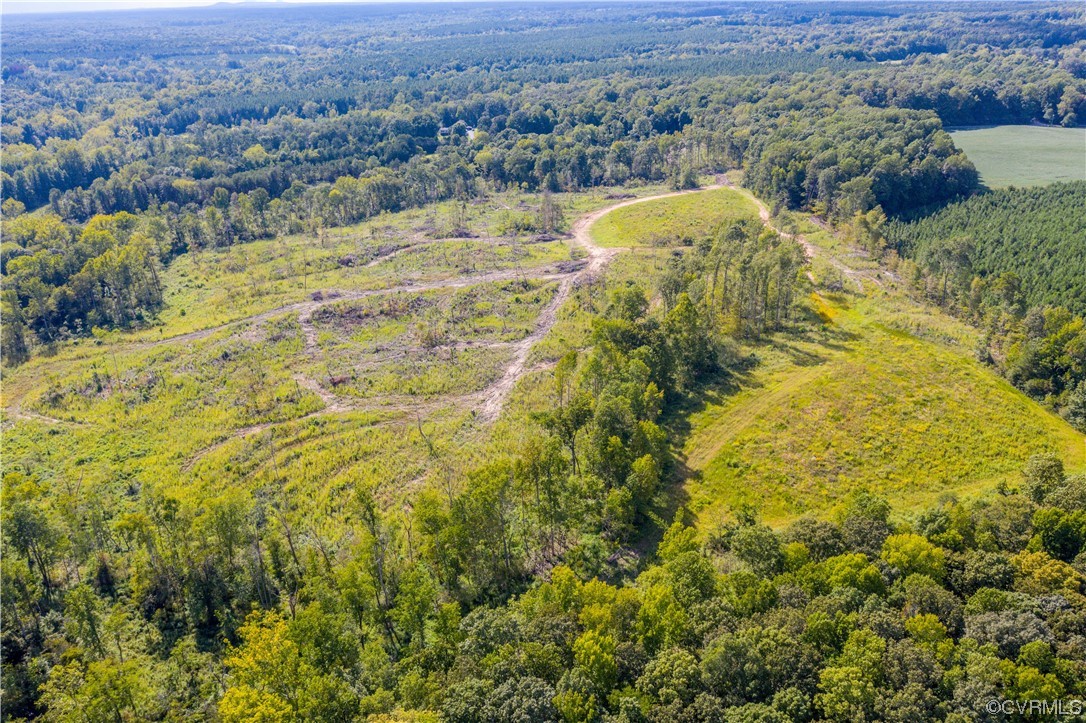 0 Pinegrove Road Cartersville, VA 23027 - Photo 14 of 26 a view of a lake with a mountain