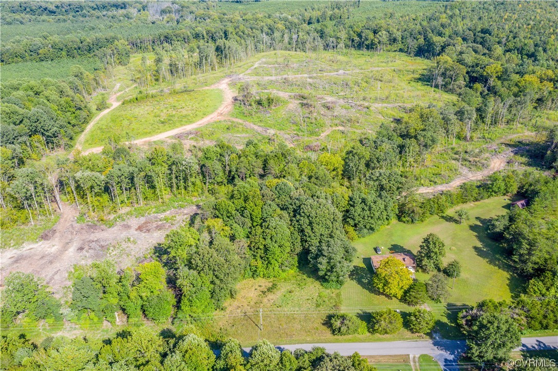 0 Pinegrove Road Cartersville, VA 23027 - Photo 2 of 26 a view of a yard with an tree