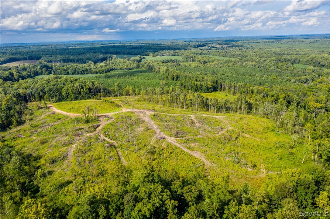 0 Pinegrove Road Cartersville, VA 23027 - Photo 22 of 26 a view of an outdoor space and a yard