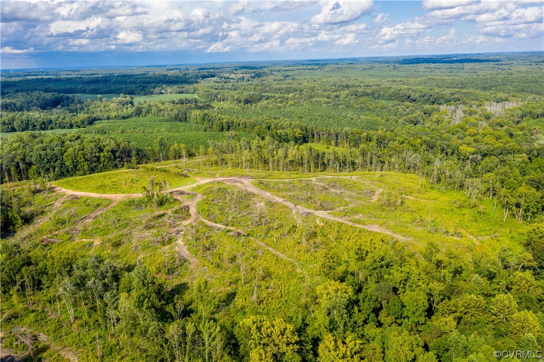 0 Pinegrove Road Cartersville, VA 23027 - Photo 23 of 26 a view of an outdoor space and a yard