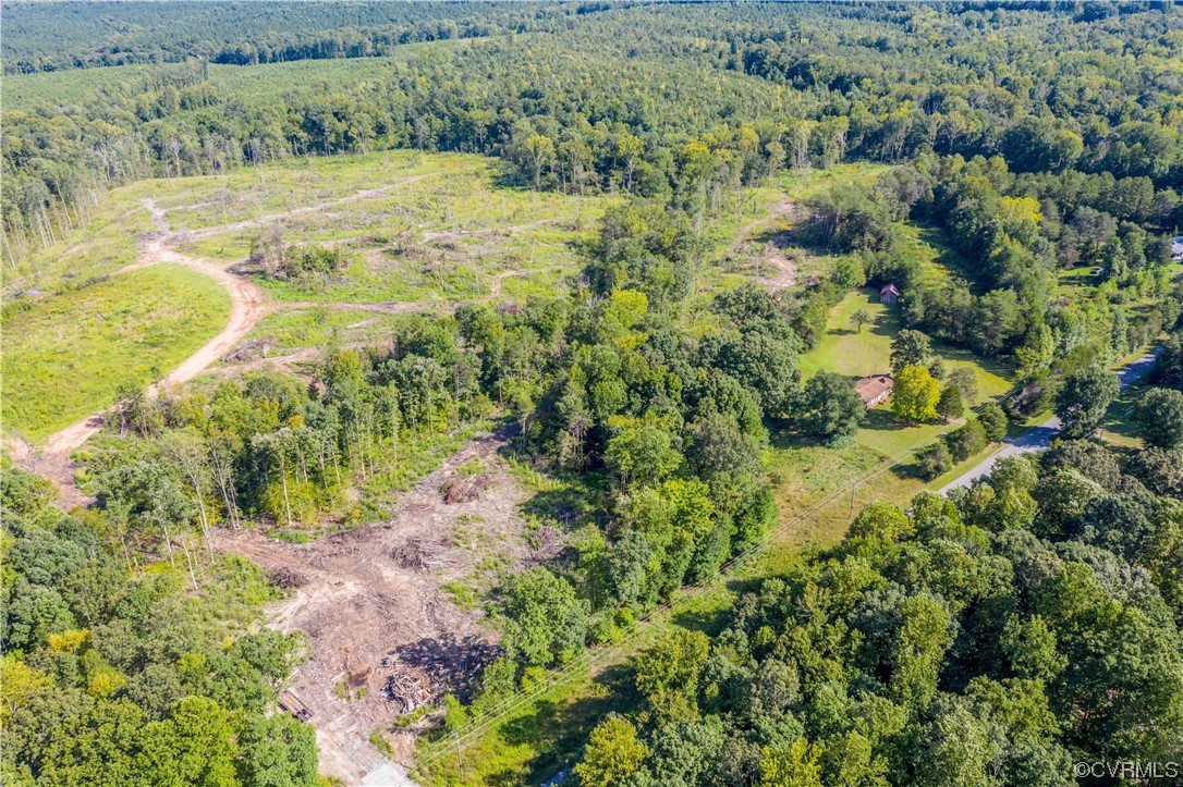 0 Pinegrove Road Cartersville, VA 23027 - Photo 4 of 26 a view of a yard