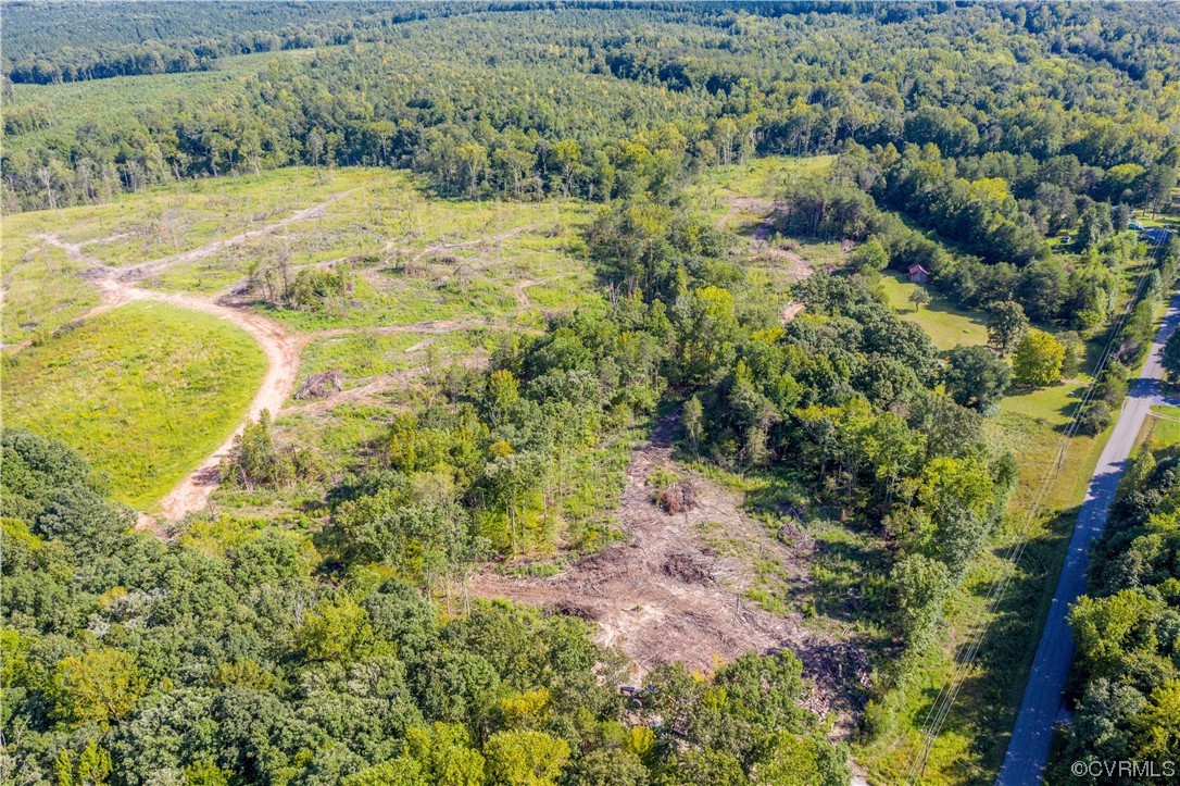 0 Pinegrove Road Cartersville, VA 23027 - Photo 5 of 26 a view of a yard with plants