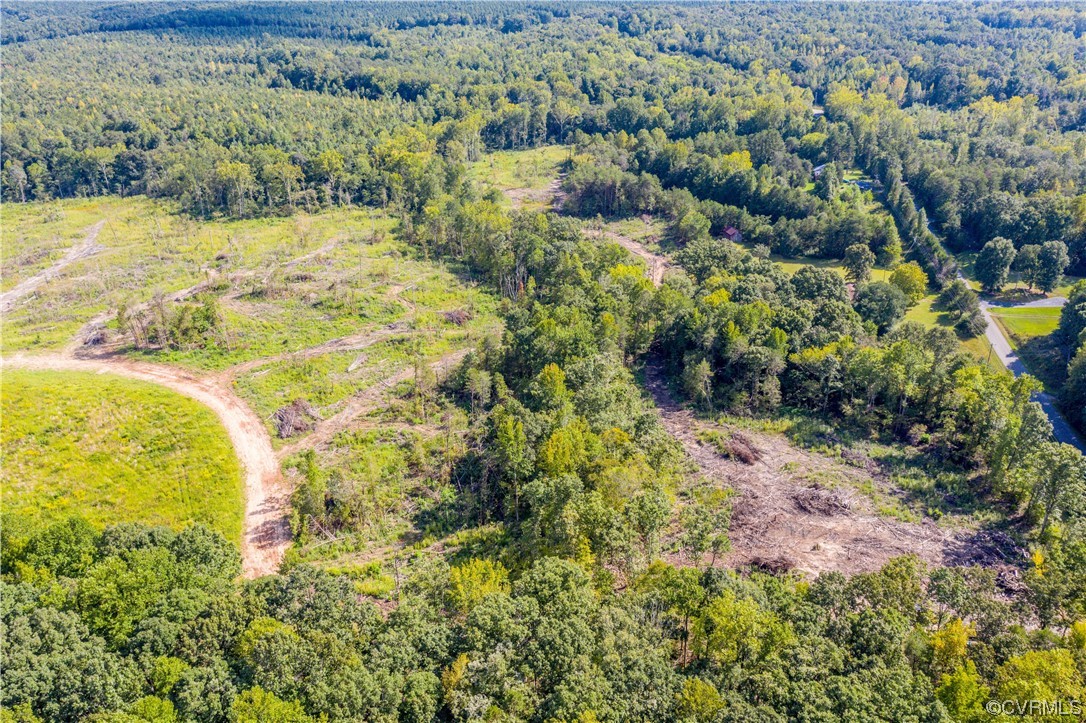 0 Pinegrove Road Cartersville, VA 23027 - Photo 6 of 26