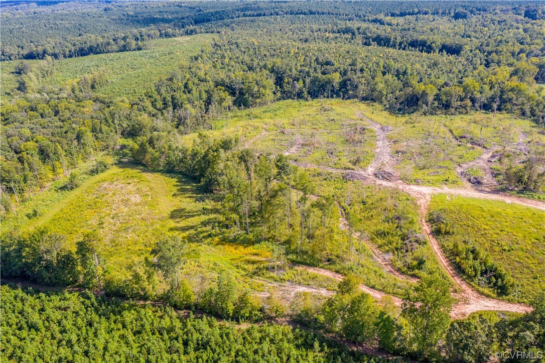 0 Pinegrove Road Cartersville, VA 23027 - Photo 9 of 26