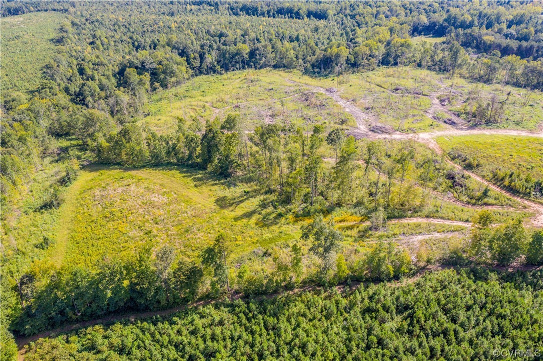 0 Pinegrove Road Cartersville, VA 23027 - Photo 10 of 26