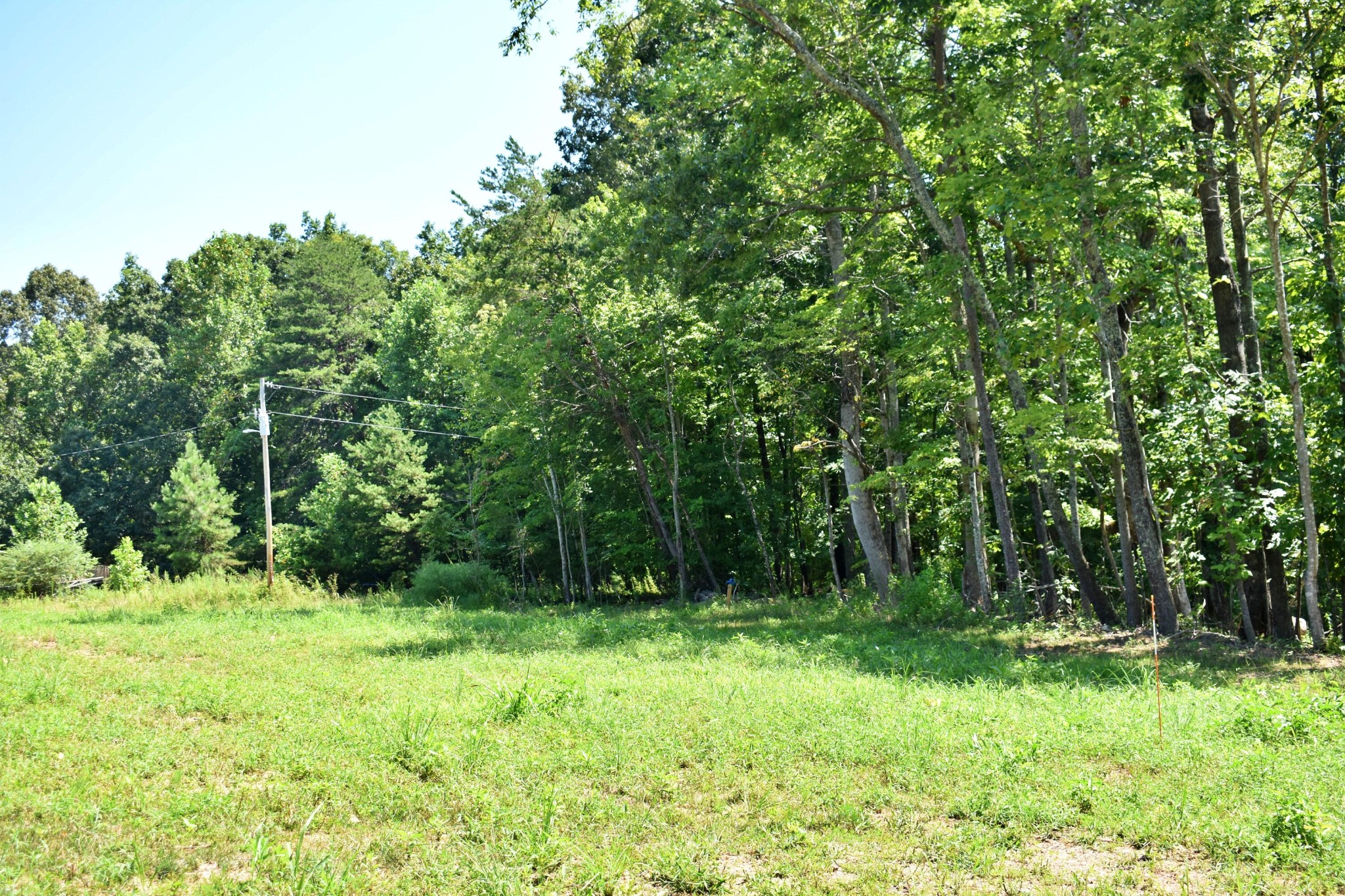 521 Norton Road Philadelphia, TN 37846 - Photo 3 of 42