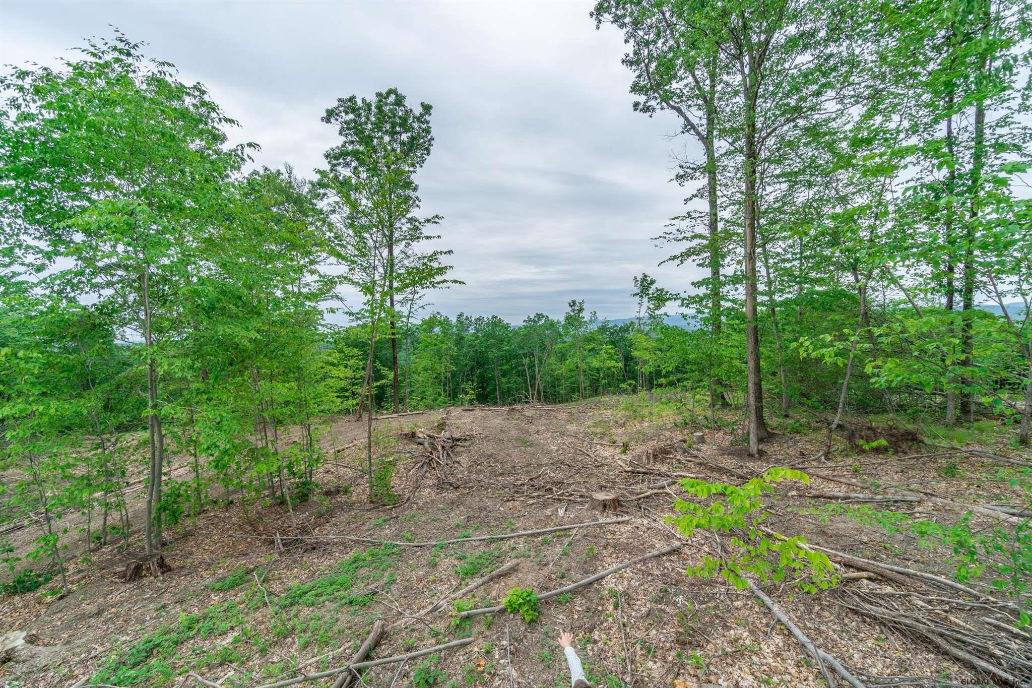 1533 County Rte 11 Hampton, NY 12887 - Photo 43 of 59 Photo 43