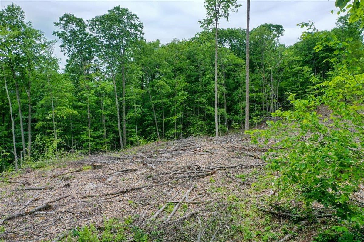 1533 County Rte 11 Hampton, NY 12887 - Photo 58 of 59 Photo 58