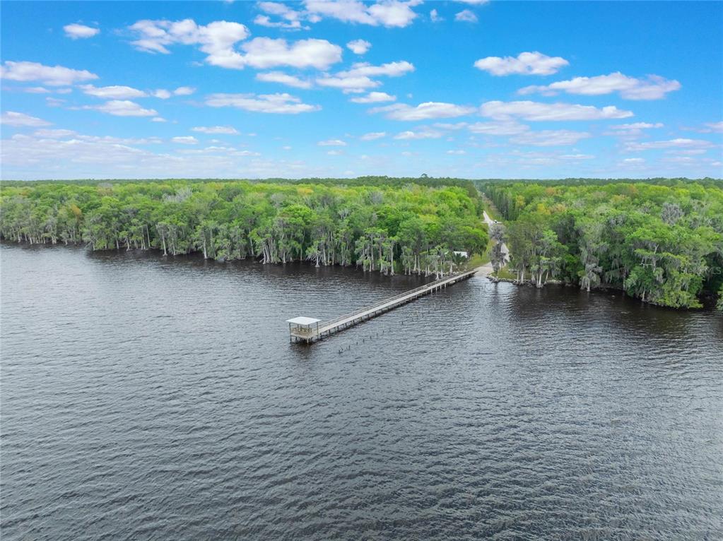 515 Gardenia Avenue Georgetown, FL 32139 - Photo 13 of 25 a view of outdoor space and yard