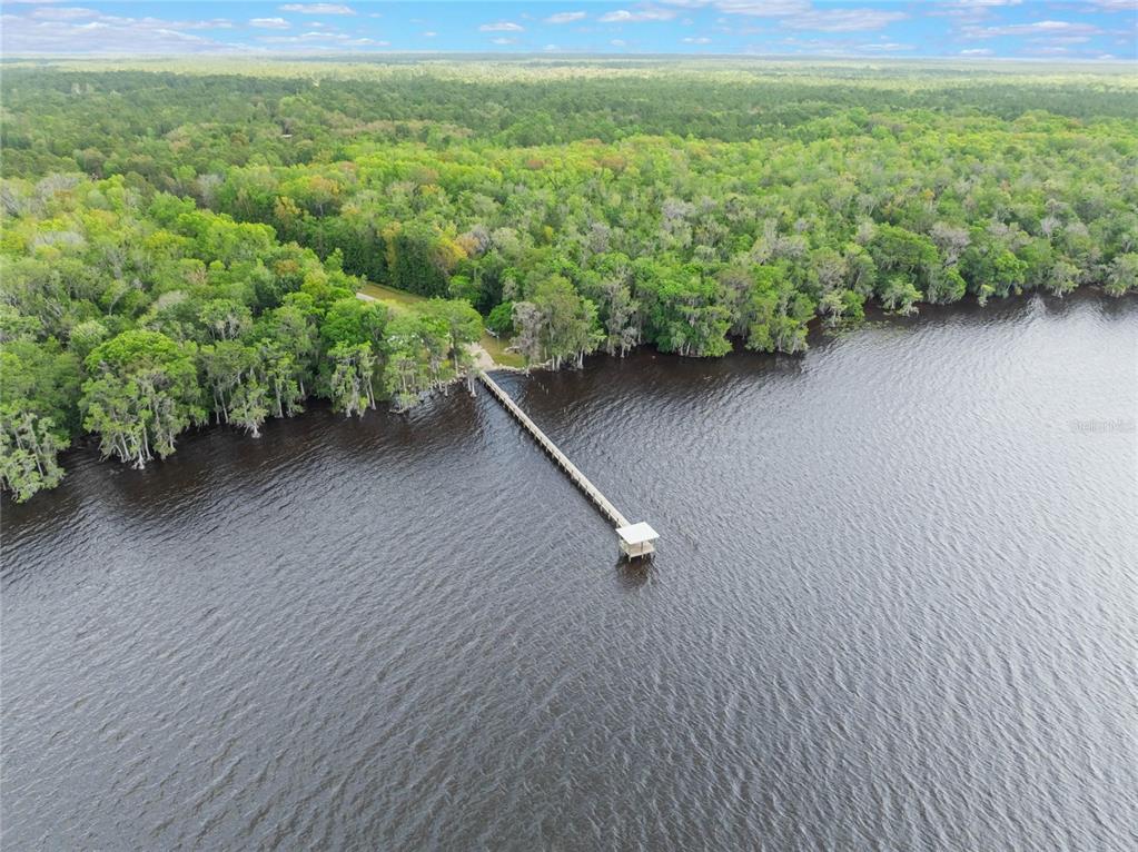 515 Gardenia Avenue Georgetown, FL 32139 - Photo 18 of 25 a view of a garden with an outdoor space