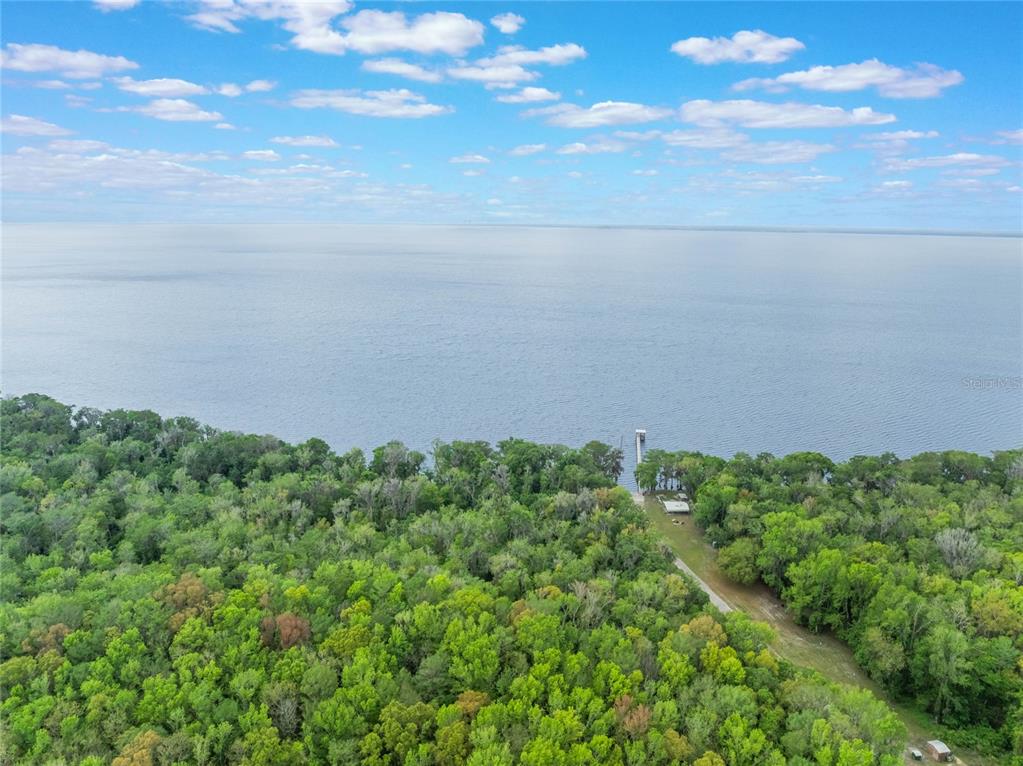 515 Gardenia Avenue Georgetown, FL 32139 - Photo 20 of 25 a view of a big yard with lots of green space
