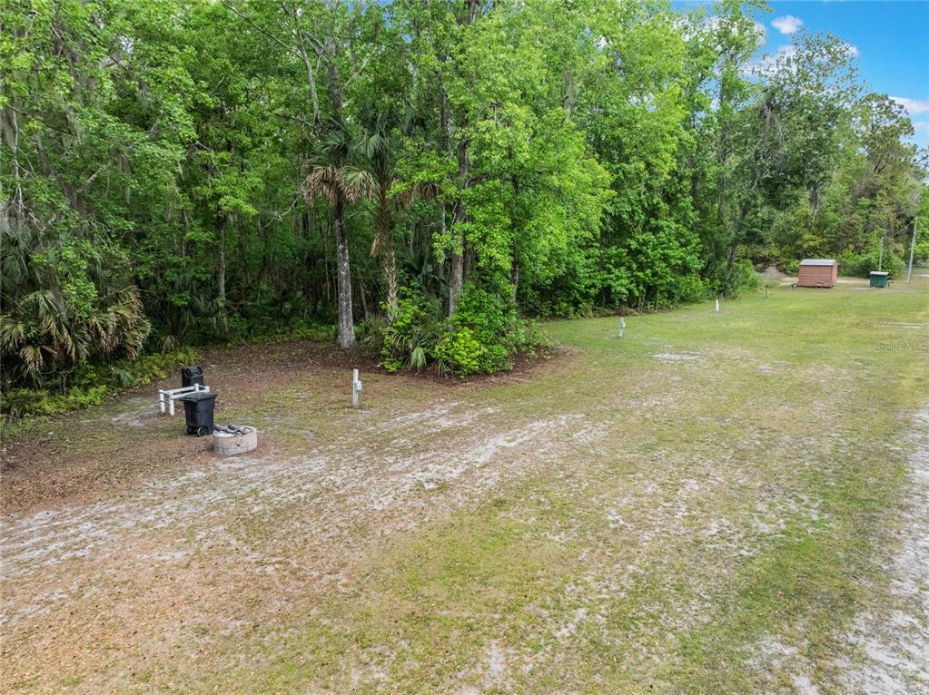 515 Gardenia Avenue Georgetown, FL 32139 - Photo 25 of 25 a view of a field with trees in the background