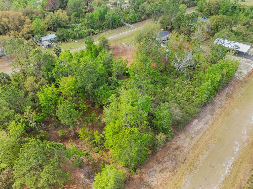 515 Gardenia Avenue Georgetown, FL 32139 - Photo 3 of 25 a view of a lake with a yard