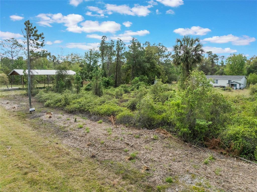 515 Gardenia Avenue Georgetown, FL 32139 - Photo 4 of 25 a view of a big yard with potted plants and large tree