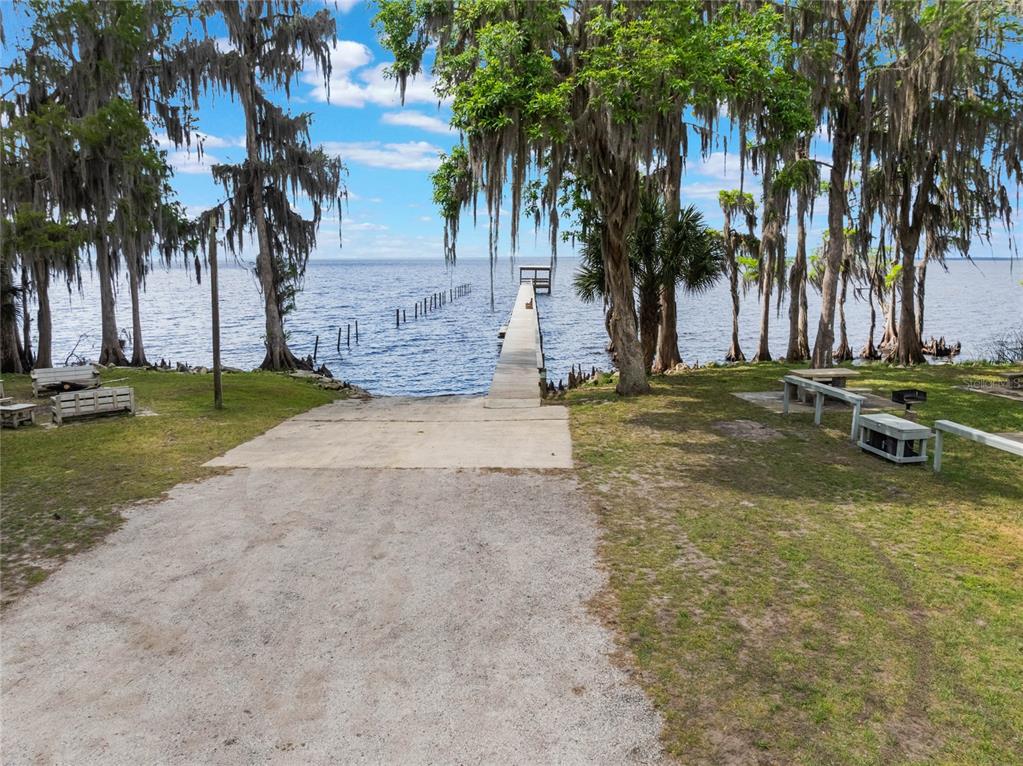 515 Gardenia Avenue Georgetown, FL 32139 - Photo 9 of 25 a view of a yard with palm trees