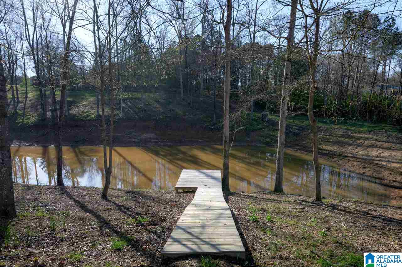 880 Copeland Ferry Road Cordova, AL 35550 - Photo 4 of 31