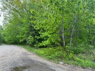 503 Pond Road Lewiston, ME 04240 - Photo 2 of 8 Land 1