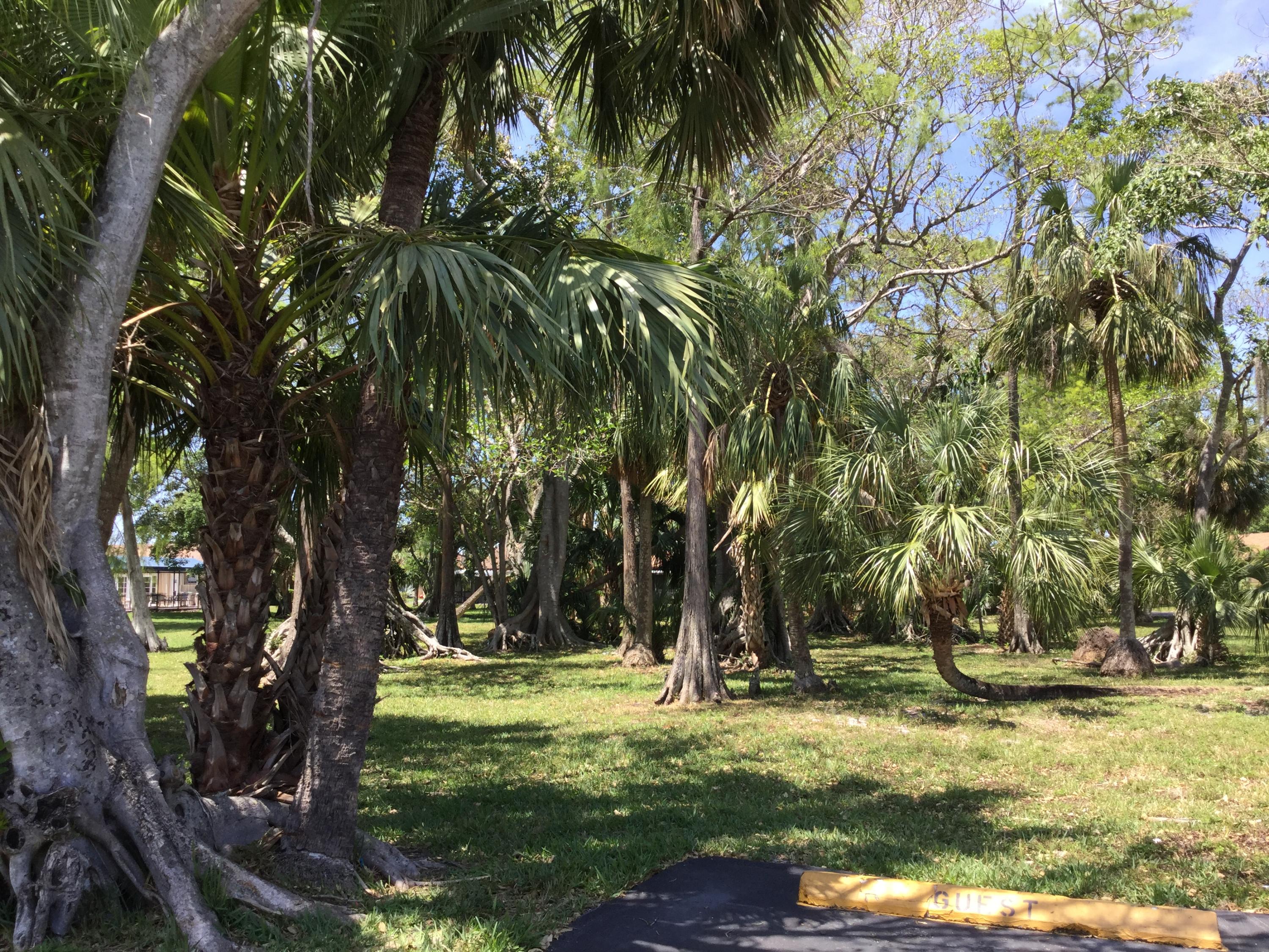 Open Area
