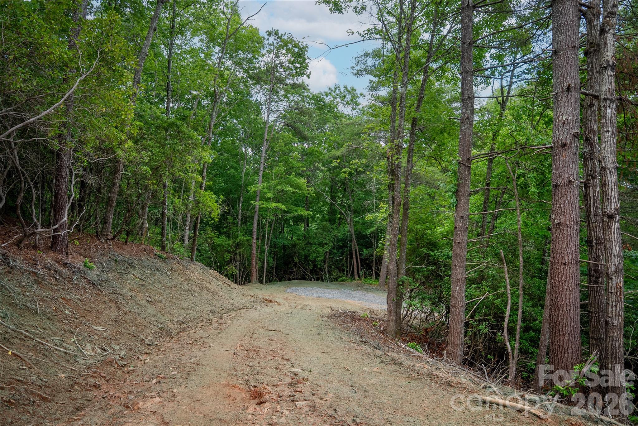 Tbd Cherryfield Loop Brevard, NC 28712 - Photo 8 of 15