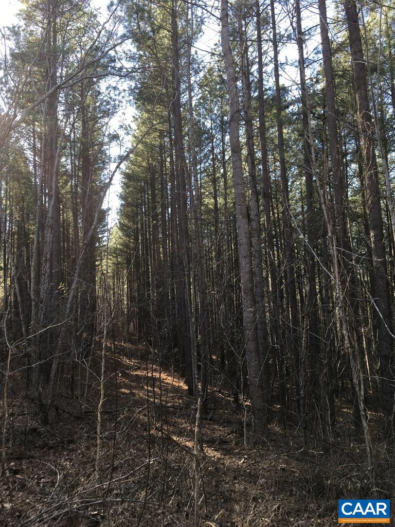 0 Batesville Road Afton, VA 22920 - Photo 12 of 12