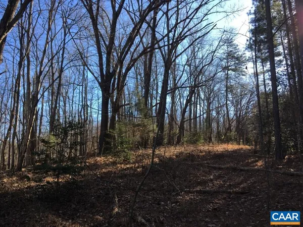 a view of a backyard with trees