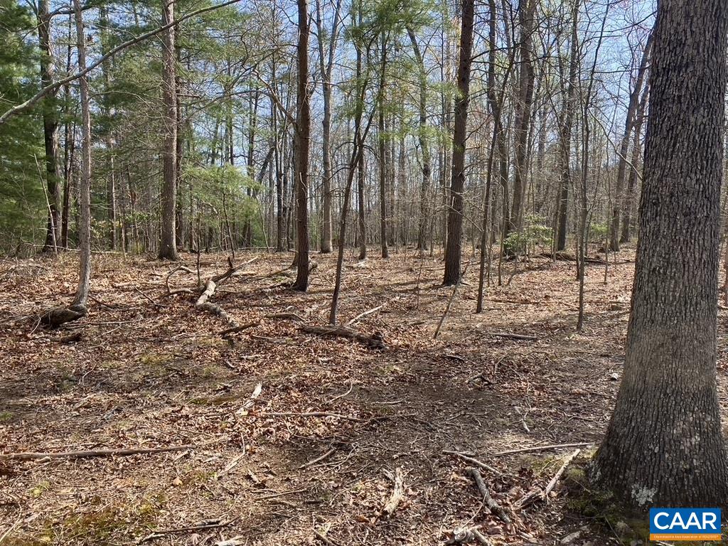 0 Batesville Road Afton, VA 22920 - Photo 5 of 12