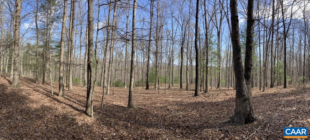 0 Batesville Road Afton, VA 22920 - Photo 6 of 12